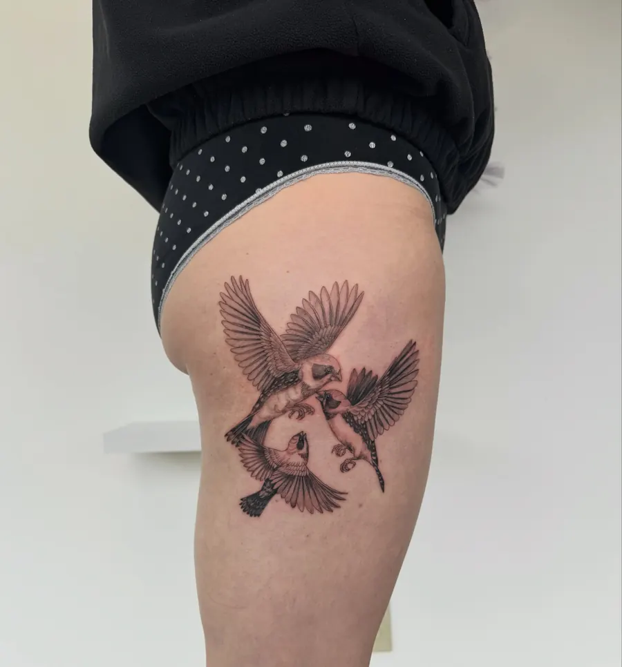 Tatuaż fine line — realizacja 44, autor @zezitattoo